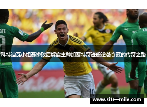 科特迪瓦小组赛惨败后解雇主帅加塞特奇迹般逆袭夺冠的传奇之路