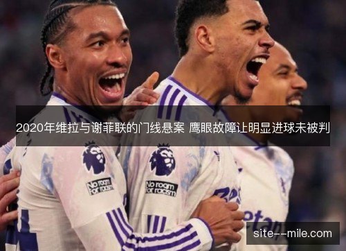 2020年维拉与谢菲联的门线悬案 鹰眼故障让明显进球未被判